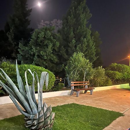 Adriatisk apartman Bečići Eksteriør billede